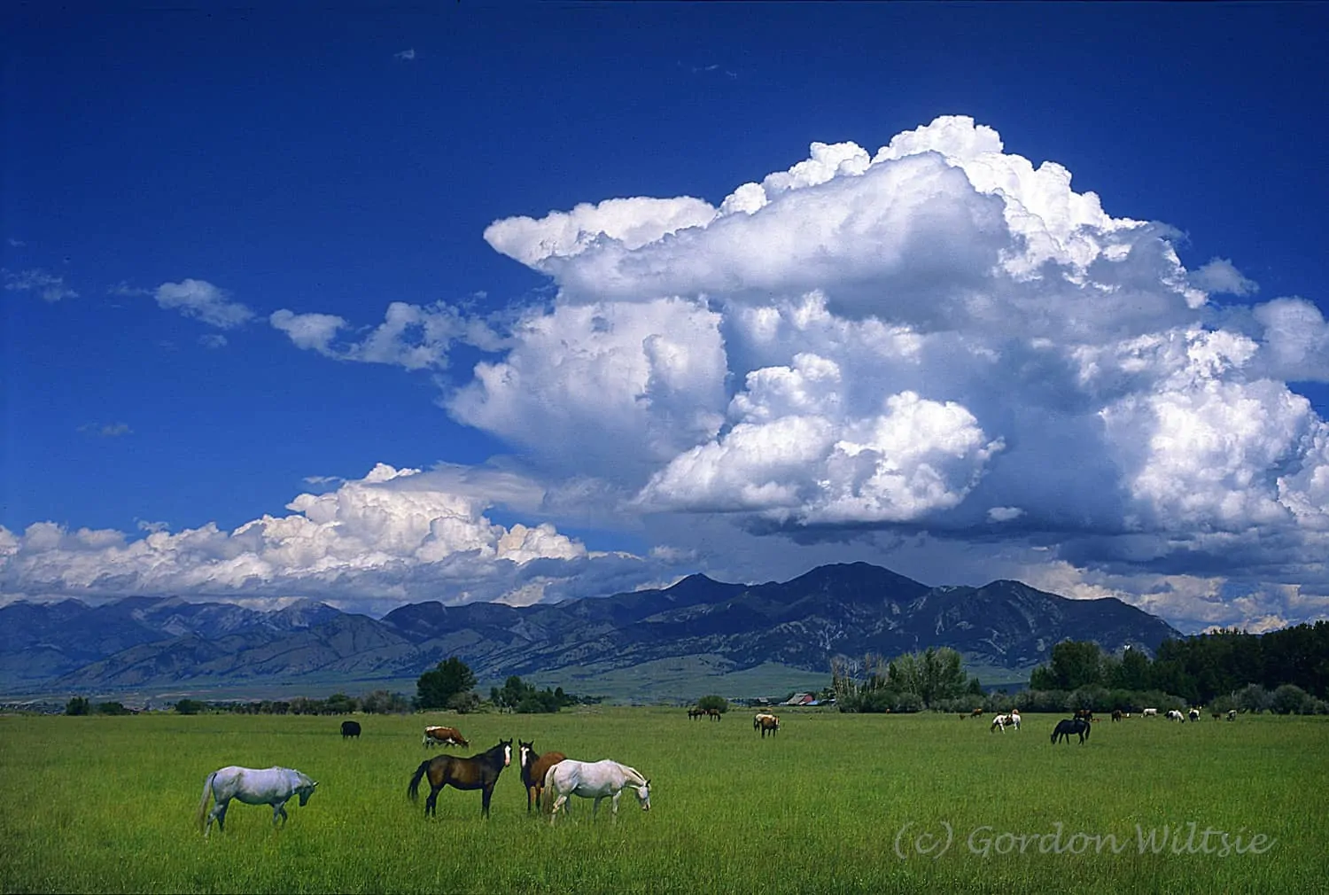 Ranches for sale in Montana 1
